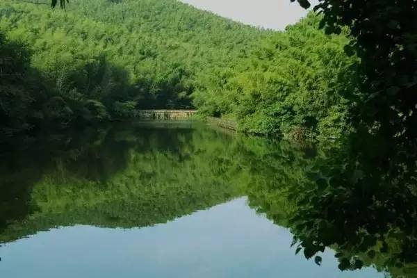 南京骑车一日游玩攻略,南京纯玩一天游攻略