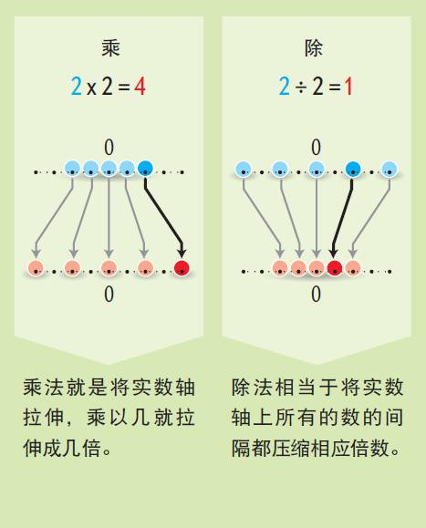 这种奇异的数学系统，是理解宇宙的密钥，还是单纯的数学玩物？