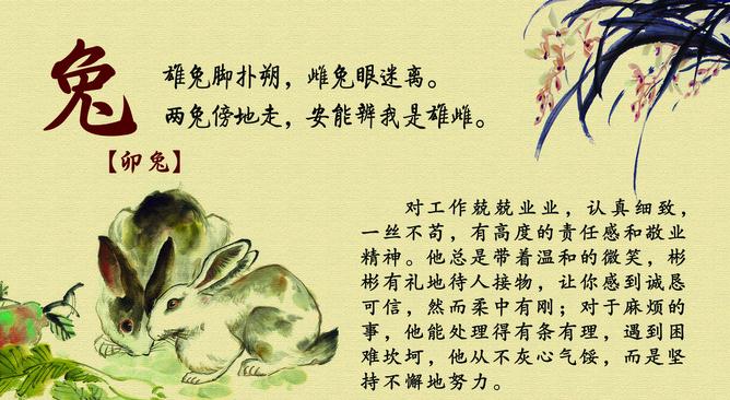 2017年属相兔犯太岁,生肖兔2020年怎么破刑太岁