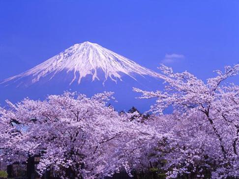 新媒体资讯服务,新媒体运营大礼包