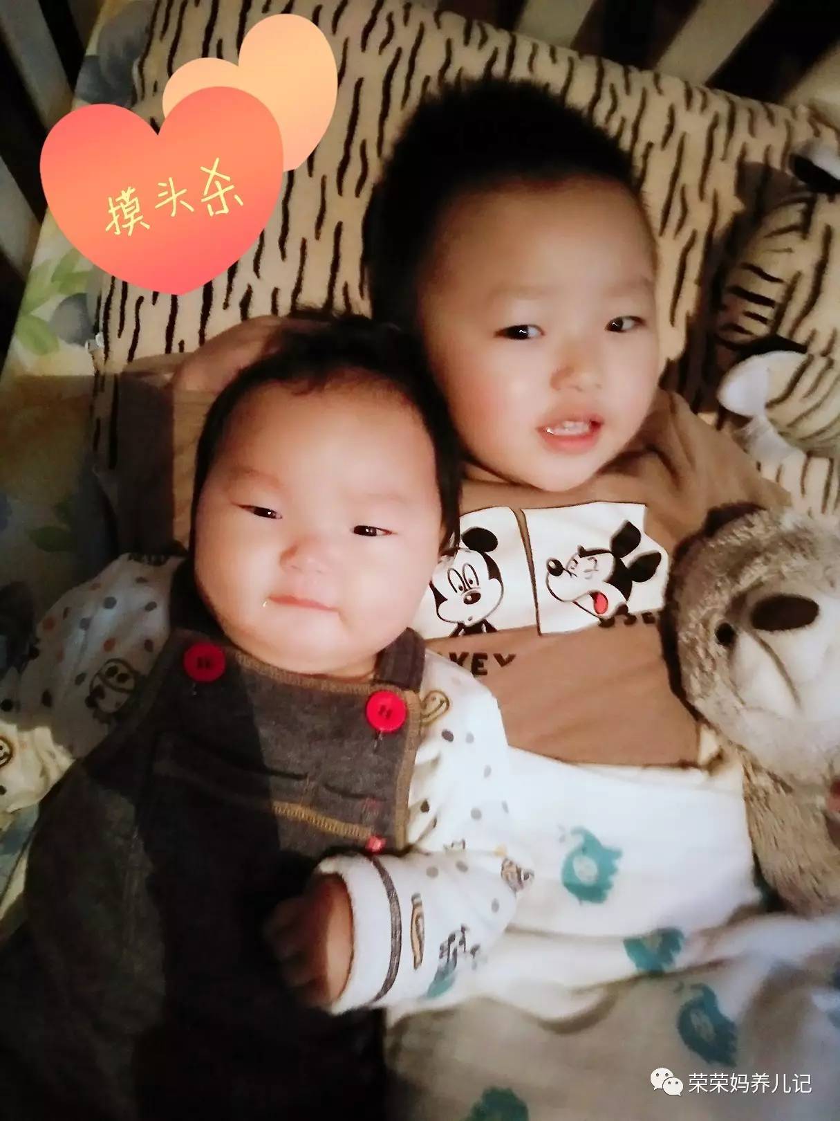 过年怎能不虐狗,逗比兄妹的年终总结