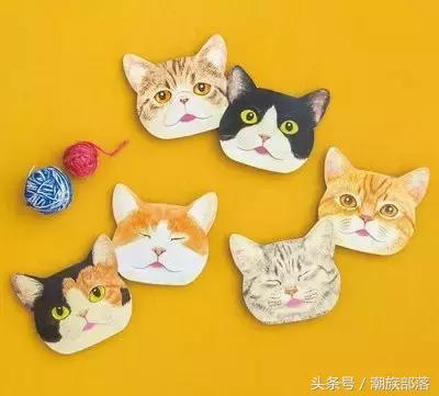 猫控保健,猫控送什么礼物