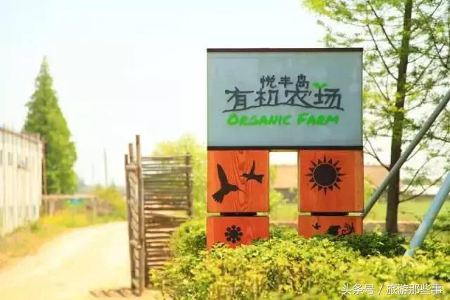 中国亲子度假酒店排名,优选亲子酒店指南