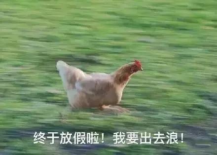 各大牌鸡年限定款,外国人对“鸡”有什么误会?