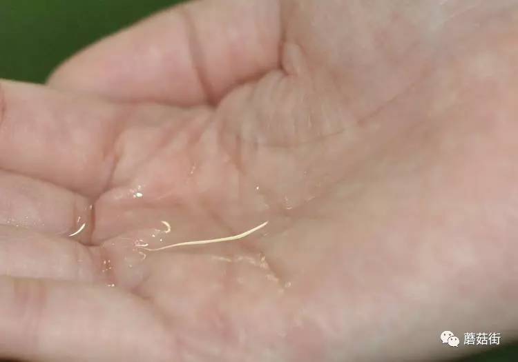 测评｜6款亲民的护肤水评测，脸要摸起来够水才行！