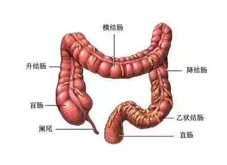 全世界癌症什么时候可以治愈,2017年世界癌症日正确认识癌症