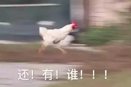 各大牌鸡年限定,外国人对鸡看法