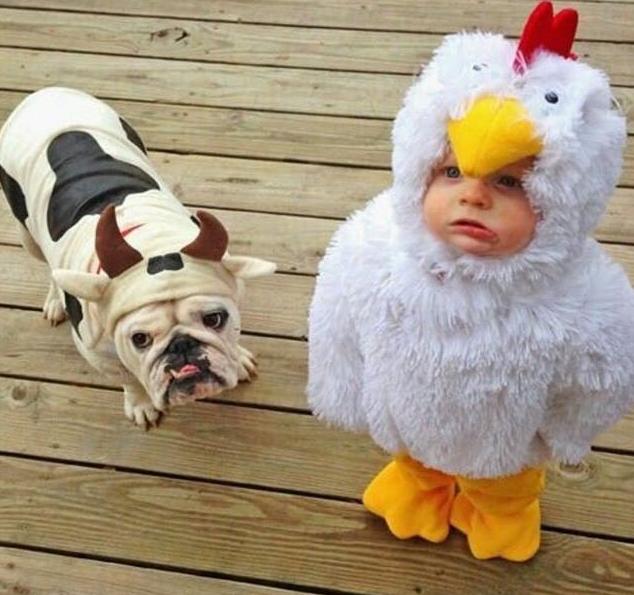 为什么拉黑别人还能看到他的视频,真正拉黑一个人的后果很严重