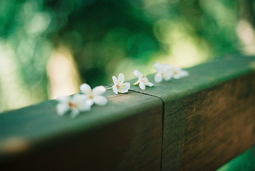 原创｜《梦里花落知多少》她说她爱他，那年青梅伴竹马