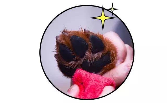 免洗泡沫十大排行榜,免洗泡沫洗手液测评