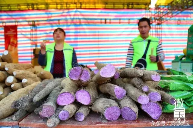 英德美丽的花街,英德花街