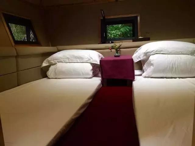 惊！艳！清远这片森林惊现空中吊屋！来过你再也不想回家