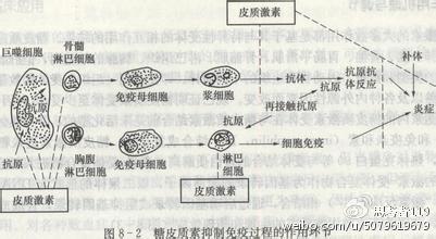 哮喘急性发作抢救流程,如何治疗哮喘的最好方法