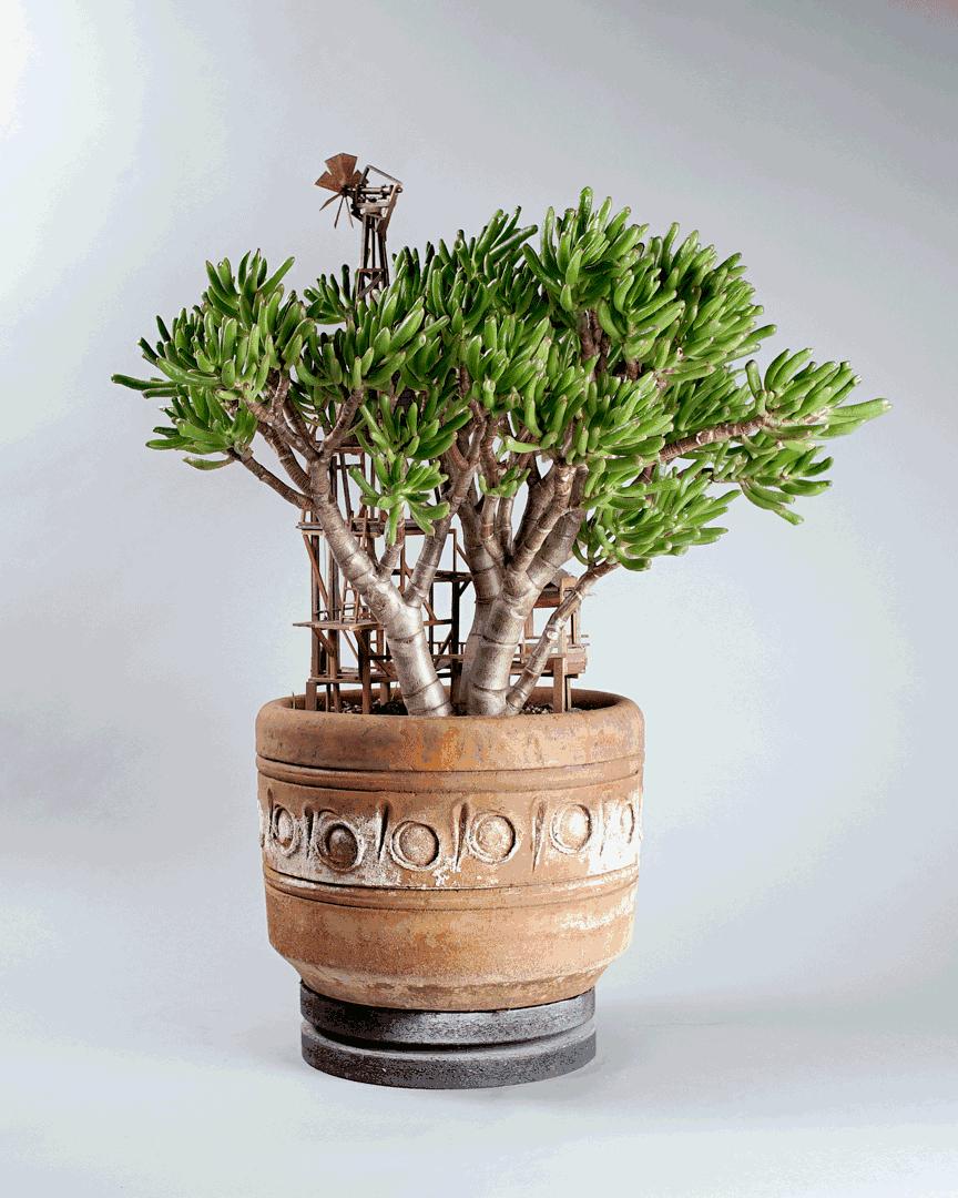 瀹ゅ唴鍒涙剰缁挎,瀹ゅ唴缁挎鏅閫犲瀷璁捐