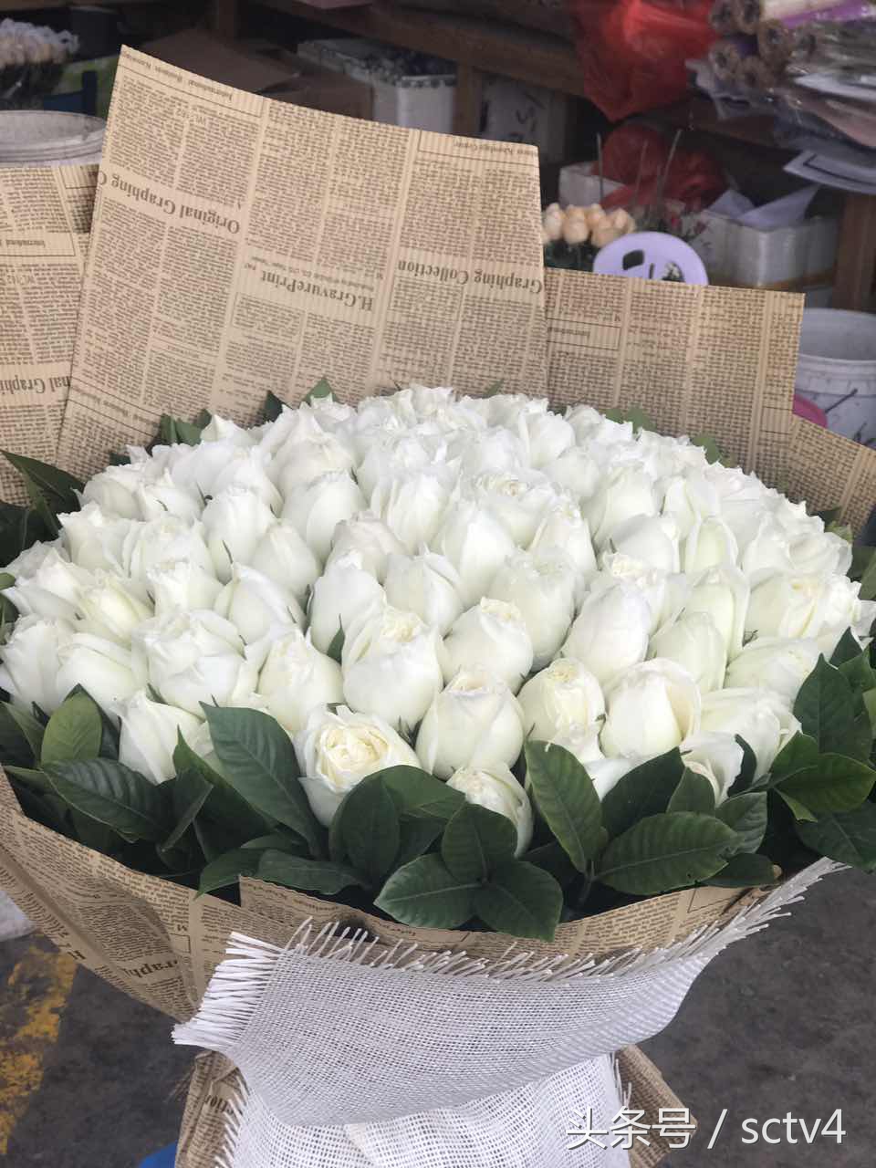 玫瑰价格今日行情,最近玫瑰还会涨价吗