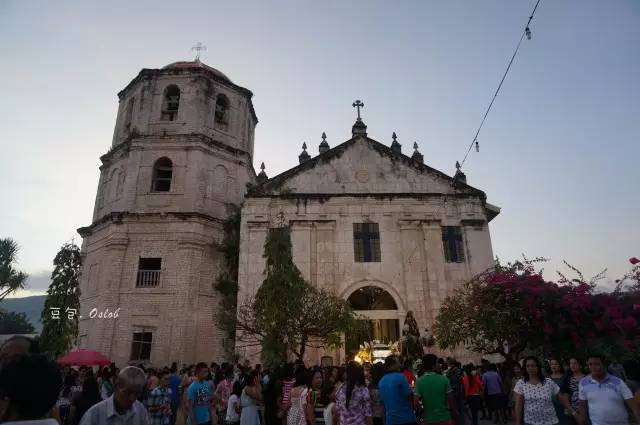 除了鲸鱼海豚还有哪些哺乳动物,除了鲸鲨还有什么鱼比较大