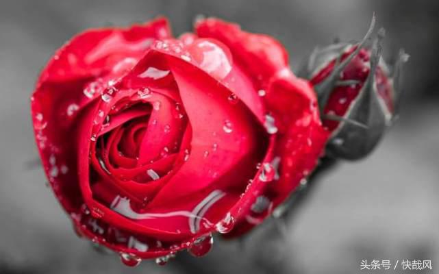 日本魔女用甜美声波“*伤杀**”无数士兵:战后美国饶了天皇却不饶她