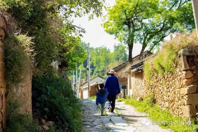 青春无悔追梦人罗大佑,愿青春不负追梦人