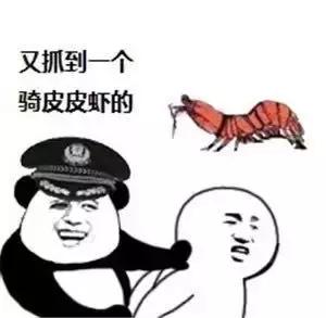 带你去找皮皮虾,皮皮虾你爱去哪