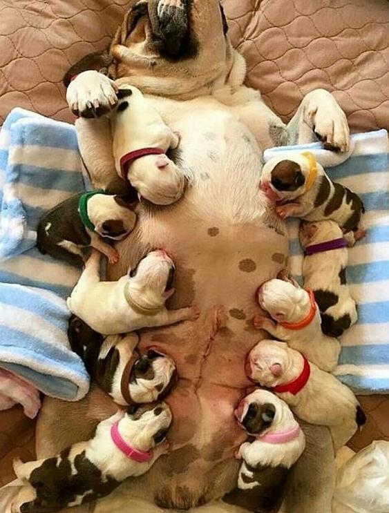 为什么拉黑别人还能看到他的视频,真正拉黑一个人的后果很严重