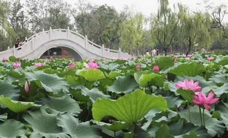 淮左名都竹林佳处,运河淮左名都