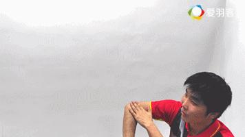 羽毛球教练新手入门教学,羽毛球教学陈教练