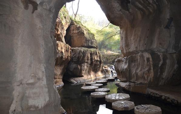 任贤齐演唱会武汉江夏歌迷,任贤齐回武汉江夏纪录片