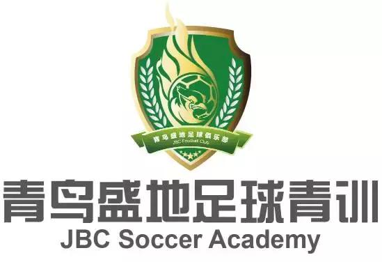 姚明与足球,姚明谈论足球现状