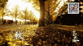 沈阳的未来会发展成什么样,沈阳发展变化