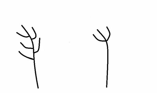 头发毛躁干枯分叉得很厉害怎么办,头发干枯毛躁打结分叉太多怎么办