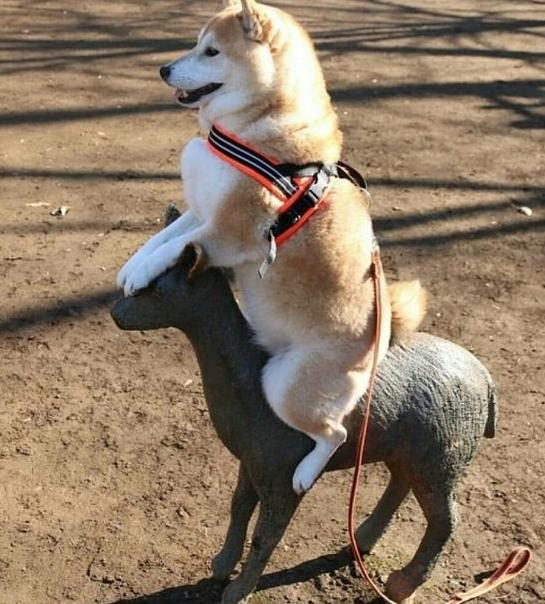 为什么拉黑别人还能看到他的视频,真正拉黑一个人的后果很严重