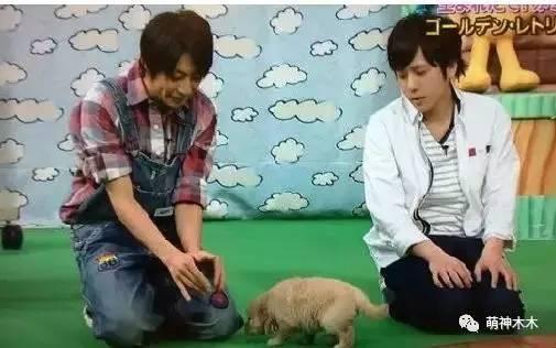 张一山和王俊凯高能少年团,张一山王俊凯参加的综艺节目