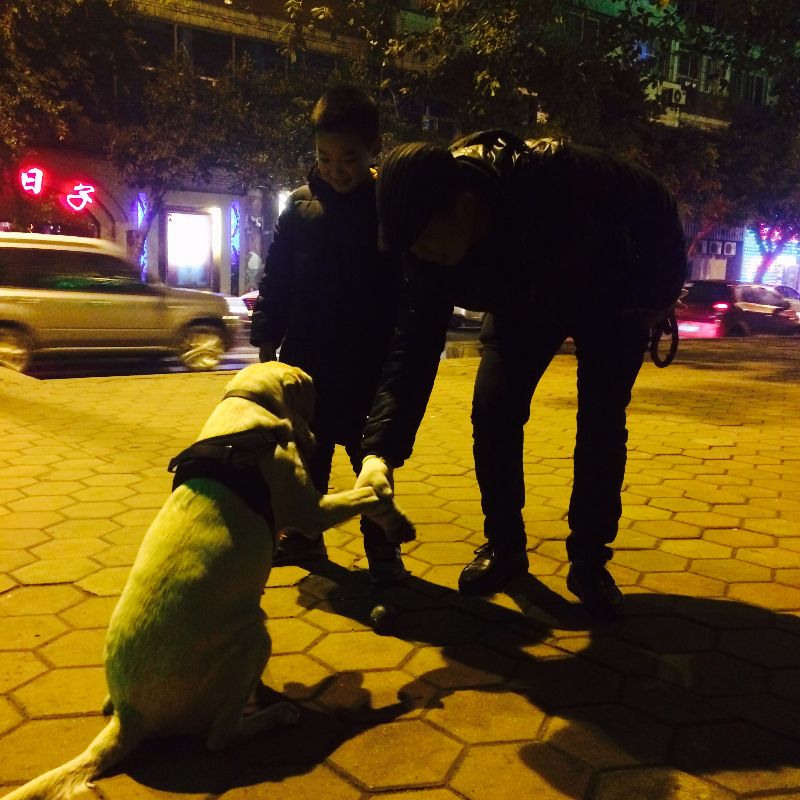 成都到乐山最佳方案,成都到乐山全攻略