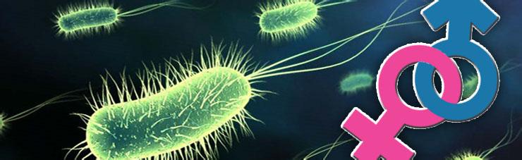 珍珠疹？尖锐湿疣？您能分清吗？