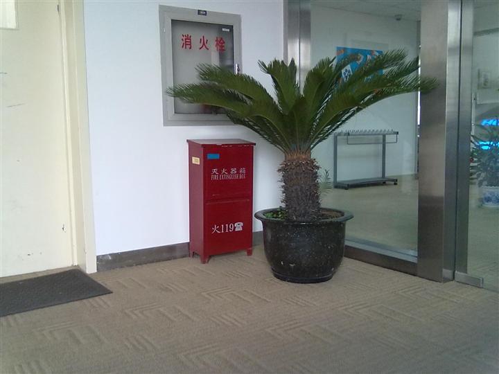 墙纸异味有害,墙纸有味道长时间不消散