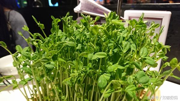 索尼xperiaxz评测,索尼xperia10iii