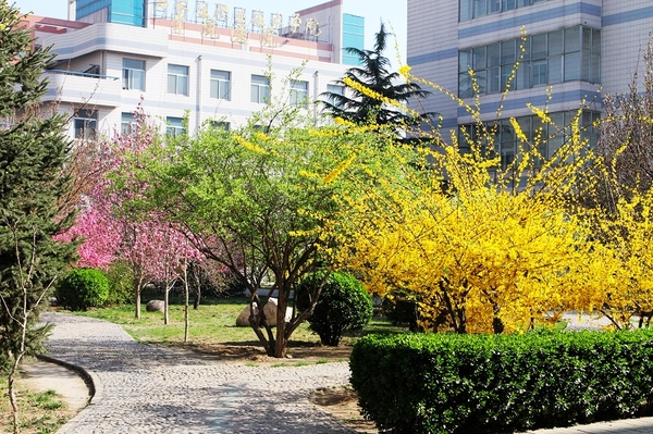 石家庄职业技术学院全国排名,石家庄职业学院排名榜