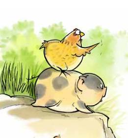 那只小母鸡，你收敛点！是你本命年也不能太过分！