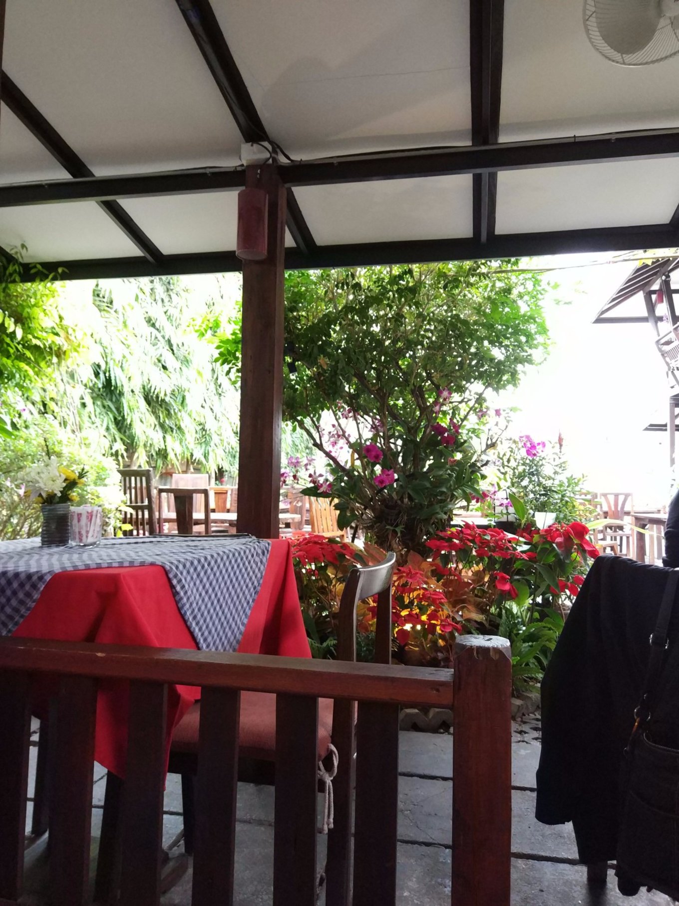 泰国清迈曼谷四日游攻略,说走就走的旅行港澳篇