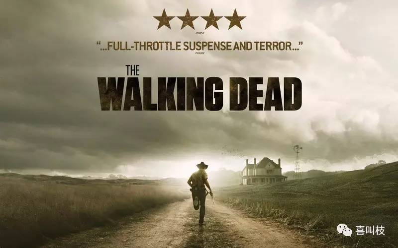 千万别看《行尸走肉》！一个老司机的忠告（强烈推荐）