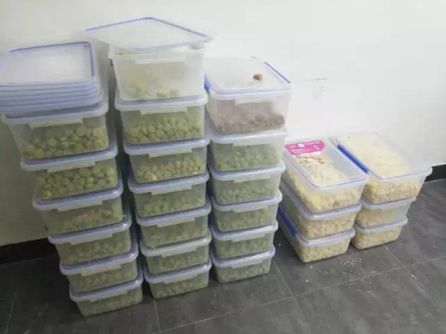 吃了杭州下沙“三无”网红曲奇CHIKO，你可以这样维权！