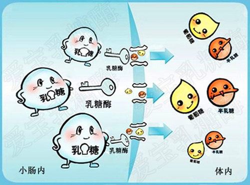 宝宝湿疹又拉肚子老是哭,宝宝湿疹便秘会是蛋白质过敏吗