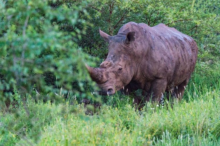 走进彩虹之国感受南非独特之美,彩虹之国南非
