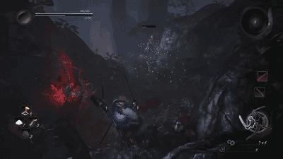 ps4仁王忍者流,PS4仁王选哪个