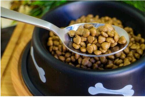 一个多月的博美拉肚子,七个月的小博美大便稀有黏液