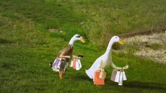 靠谱的国外海淘网站,100个海淘网站