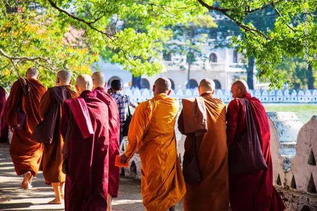 遇见斯里兰卡自由行：狮子国奇遇记