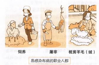 夜间盗汗只有头部出汗,夜间盗汗与棉被厚出汗有何区别