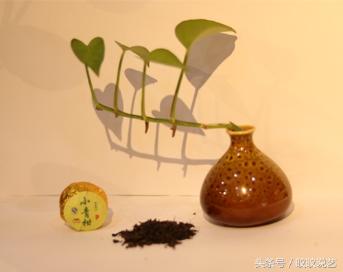 预防禽流感最好的办法,避免禽流感的方法