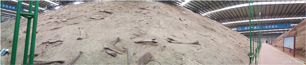 不同版本诺基亚,不同版本的诺基亚